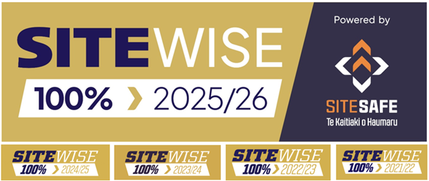 sitewise 100 five years